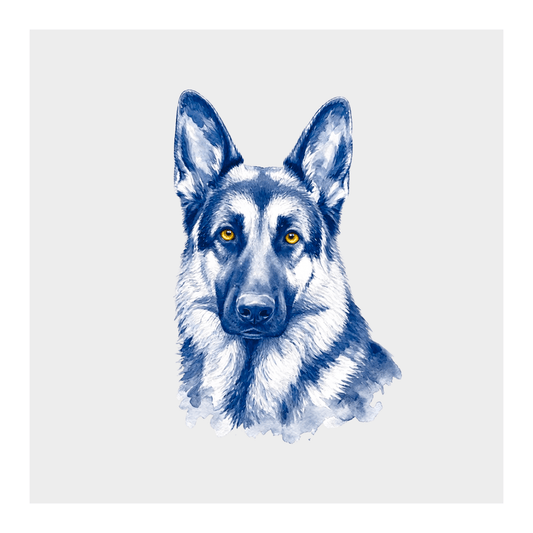 Duitse herder 2