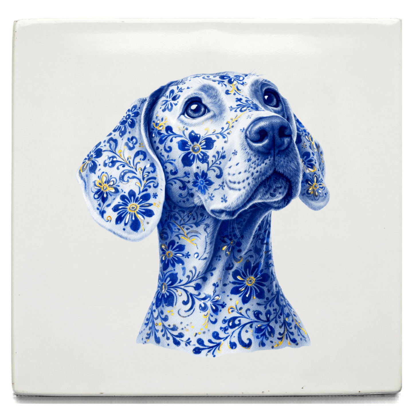 Hond