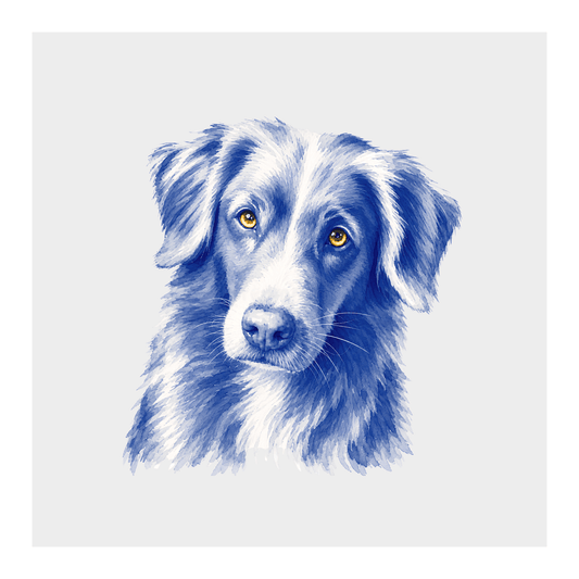 Nova Scotia Duck Tolling Retriever