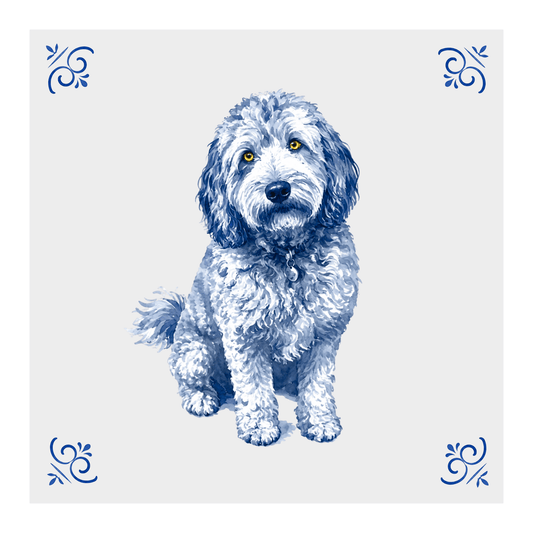 Labradoodle