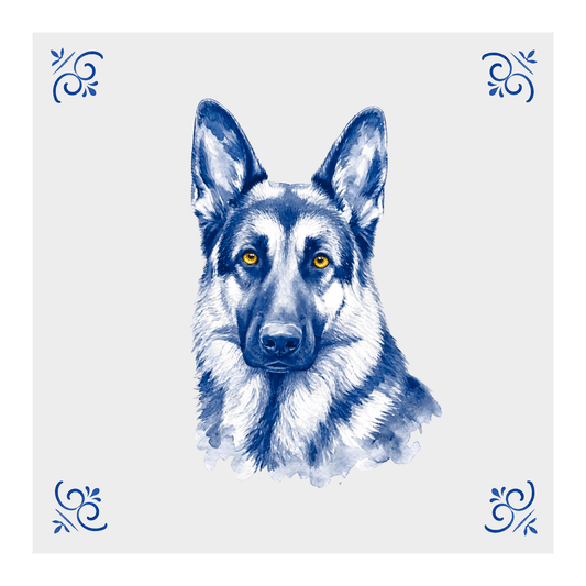 Duitse herder 2