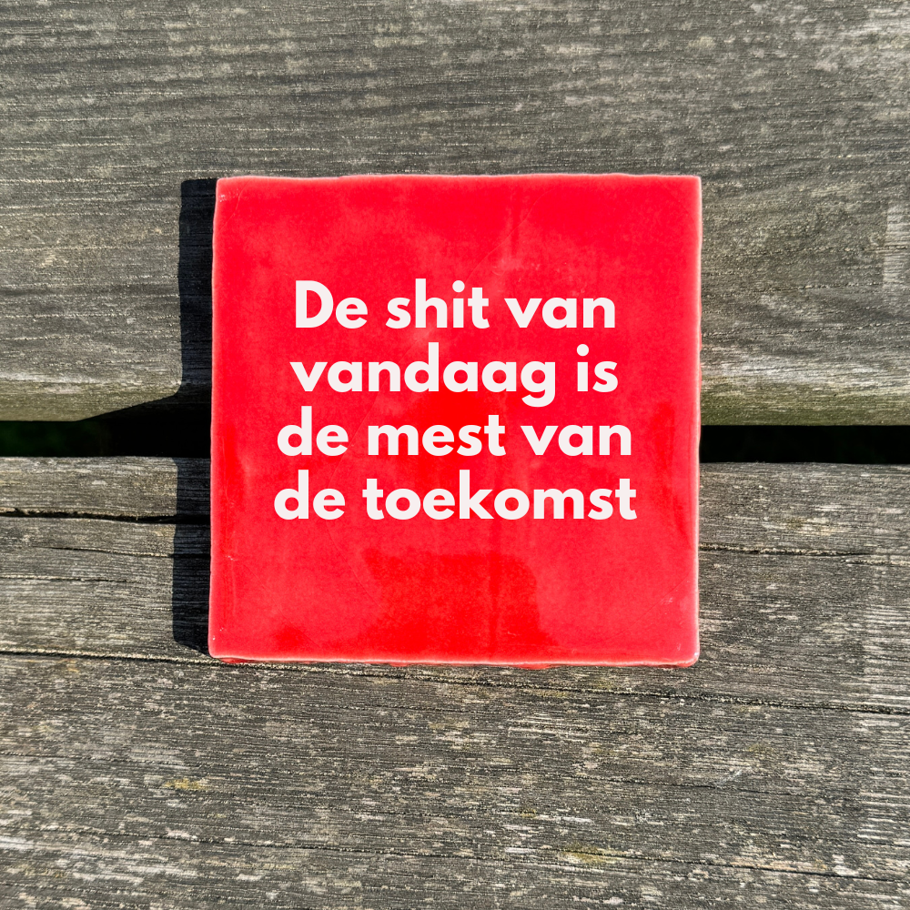 De shit van vandaag