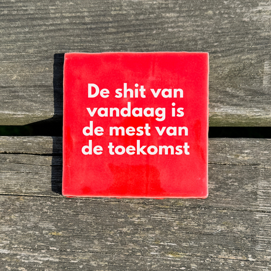 De shit van vandaag