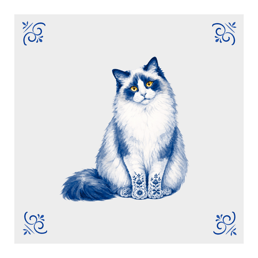 Ragdoll