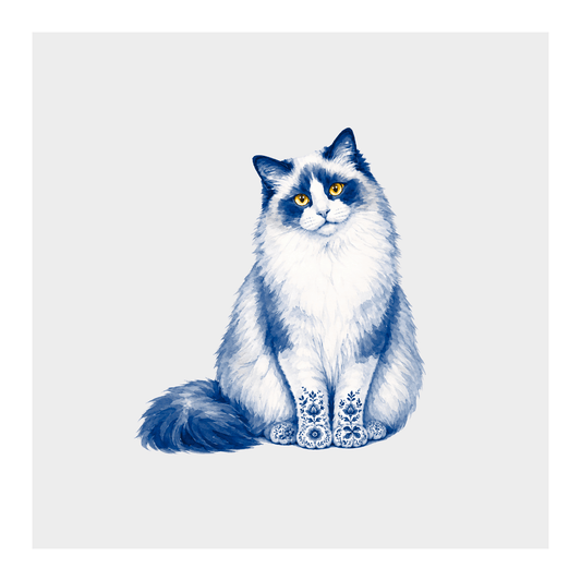 Ragdoll