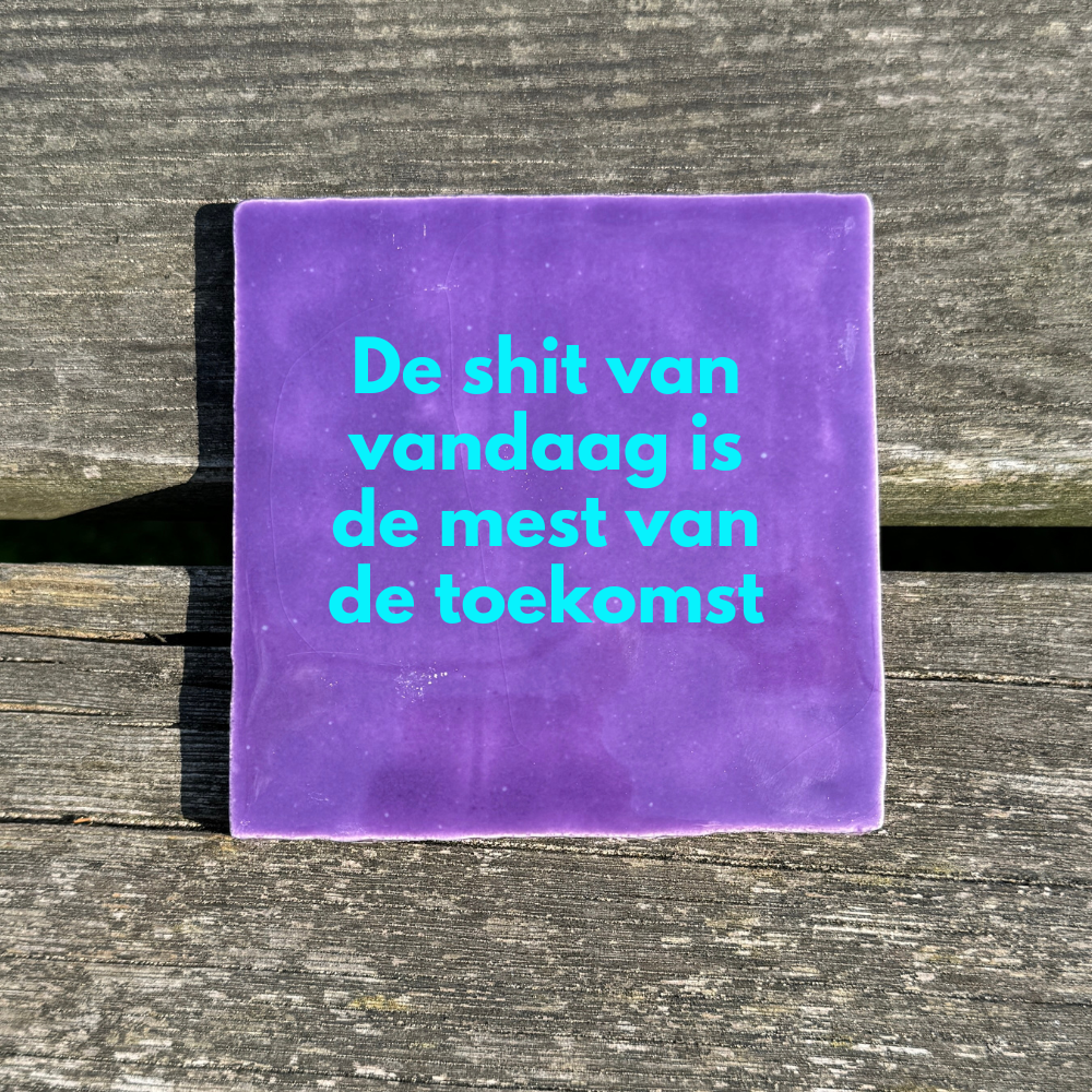 De shit van vandaag