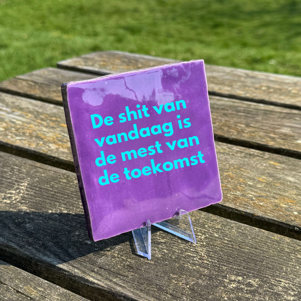 De shit van vandaag