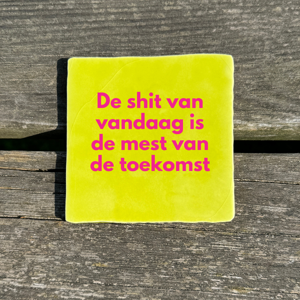 De shit van vandaag